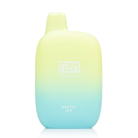 FLUM PEBBLE DISPOSABLE - ARCTIC ICY - 6000 PUFFS